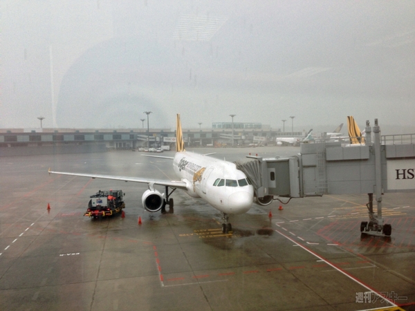 菊タローが行く！世界周遊ルーターでデジタルトラベルするぞの巻