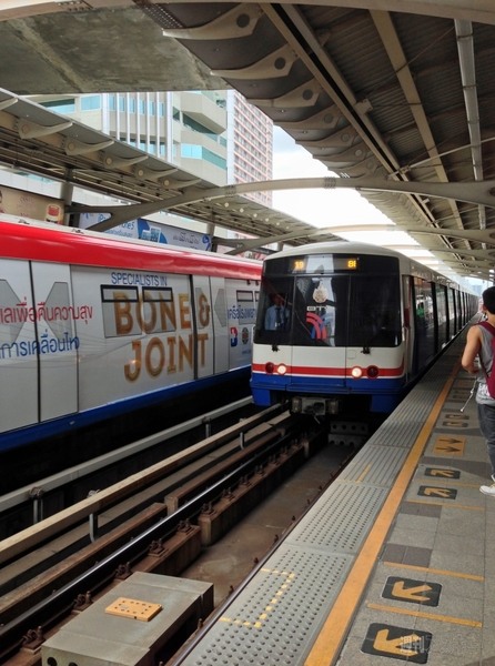 菊タローが行く！世界周遊ルーターでデジタルトラベルするぞの巻