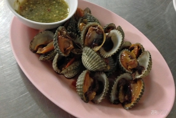 菊タローが行く！世界周遊ルーターでデジタルトラベルするぞの巻