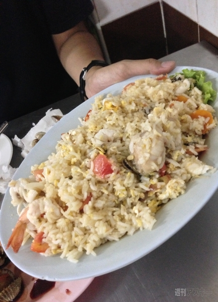 菊タローが行く！世界周遊ルーターでデジタルトラベルするぞの巻