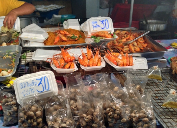 菊タローが行く！世界周遊ルーターでデジタルトラベルするぞの巻