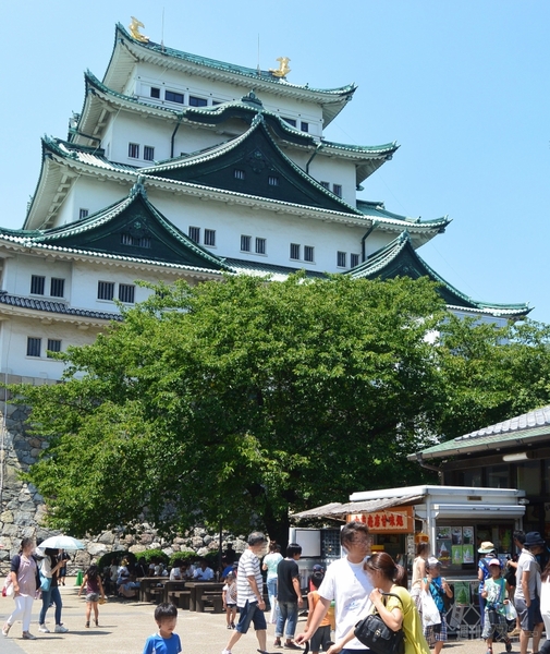 『Konstruktor DIY Kit』を試した