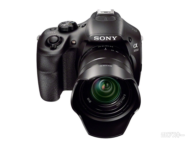 ミラーレス一眼希少 SONY α3000 海外モデル Eマウントミラーレスカメラ