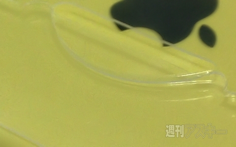 初のiPhone専用？ 週アスにまたしても前代未聞の付録がつくようだ