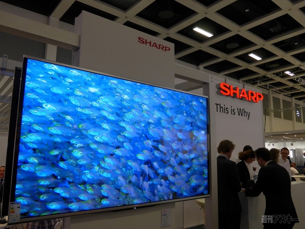 スマートウォッチも全天周カメラもナビもコーヒーメーカーも全部触ってみた：IFA2013