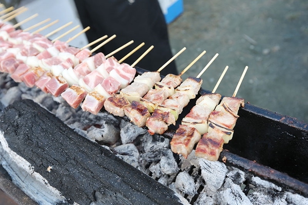 ニコニコ町会議2013北海道