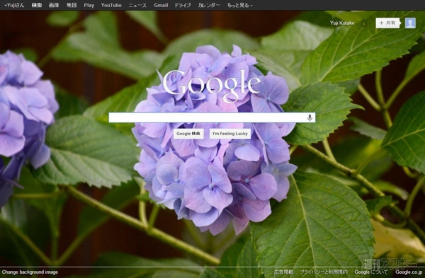 Custom Google Background