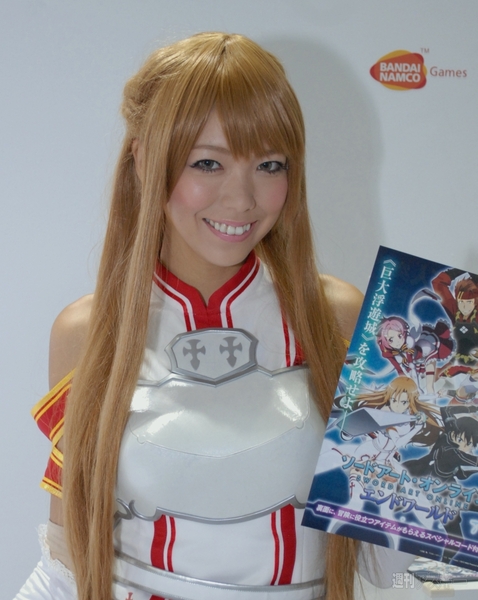 TGS2013_ Companion