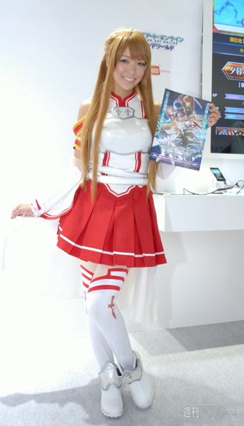TGS2013_ Companion