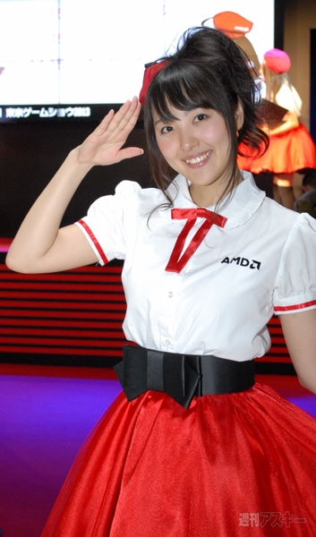 TGS2013_ Companion