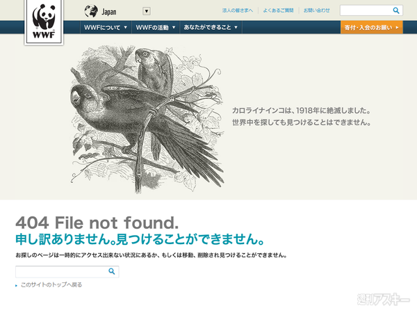 切なすぎる……と評判の、絶滅動物の図鑑に見立てた“404エラー” - 週刊