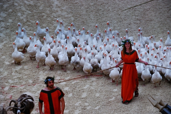 パナソニック：CEATEC2013