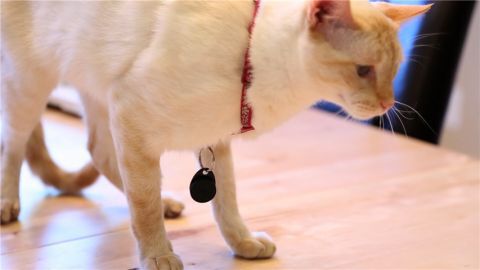 ホリエモンのコレいいかも！