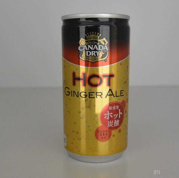カナダドライ ホットジンジャーエール