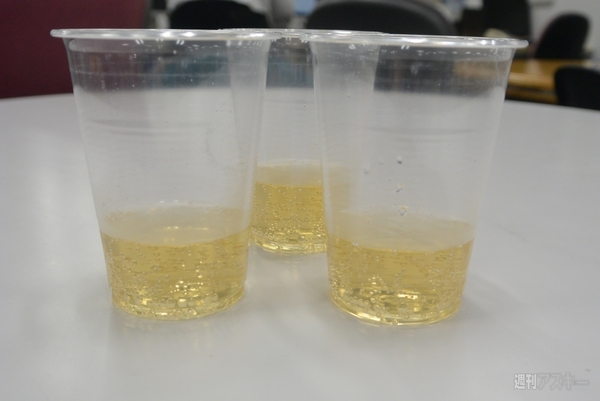 カナダドライ ホットジンジャーエール