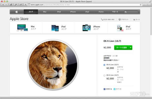 Lion／Mountain Lion