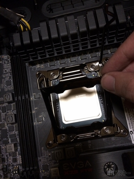 Ivy-E増刊告知kaku