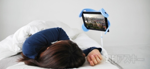 Manatee（マナティー）