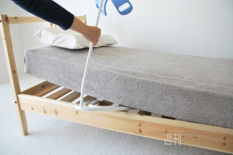 Manatee（マナティー）