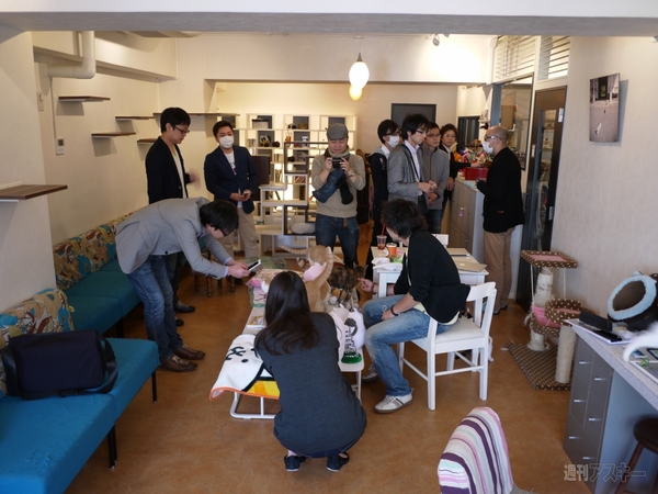 ケリ姫×にゃんこ