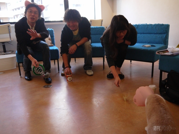 ケリ姫×にゃんこ