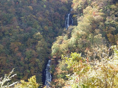 MSX30周年記念_第13回