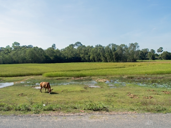 SIMフリースマホと香港〜シンガポール縦断バスの旅3