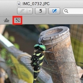 Macで画像のサイズや解像度を変更したいなら「プレビュー」が便利