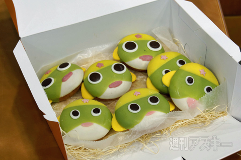 ケロロ軍曹、ペコポン再侵略