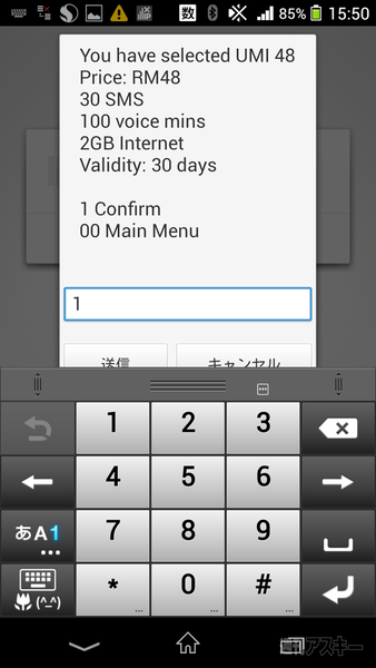 シンガポール縦断バスの旅5