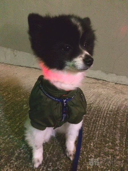 ぴか〜るケーブル