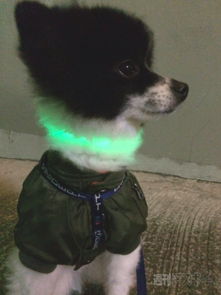 ぴか〜るケーブル