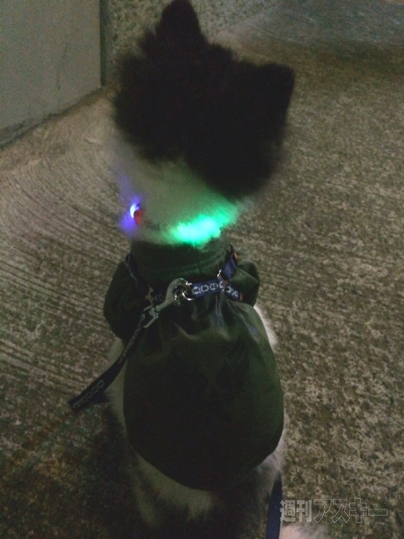 ぴか〜るケーブル