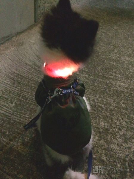 ぴか〜るケーブル