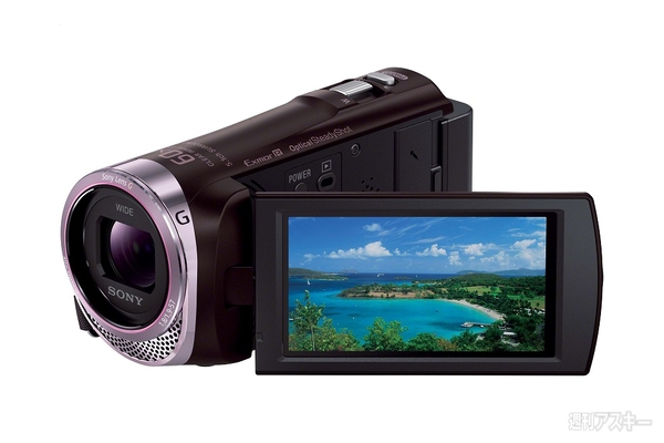 FDR-AX100
