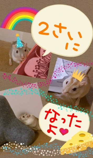 Xperia Z Ultra徹底レポート