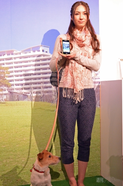 ペットフィット