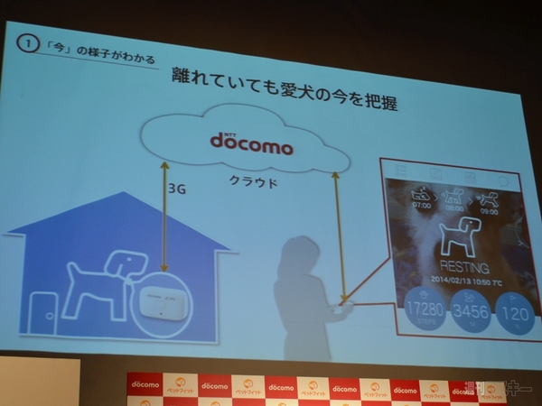 ペットフィット