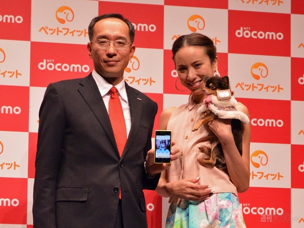 ペットフィット