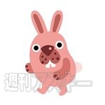 週刊ソーシャルニュース2014年2月17日