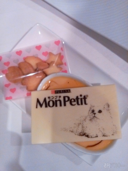 2月22日はネコの日