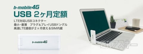 b-mobile4G USB 2 ヶ月定額