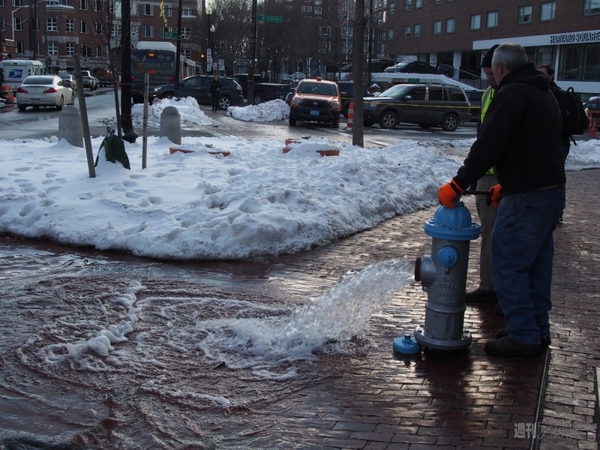 Recruit Programming Contest