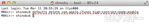 terminal_itunes2