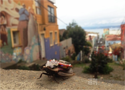 ホリエモンのコレいいかも！