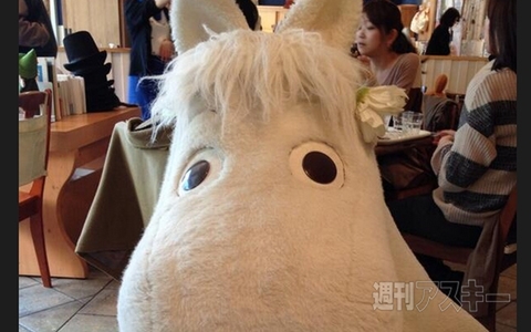 ムーミンカフェでの“おひとり様”にはキャラが相席!? ほか。見出しで楽しむネタ6本