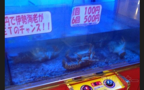 ムーミンカフェでの“おひとり様”にはキャラが相席!? ほか。見出しで楽しむネタ6本