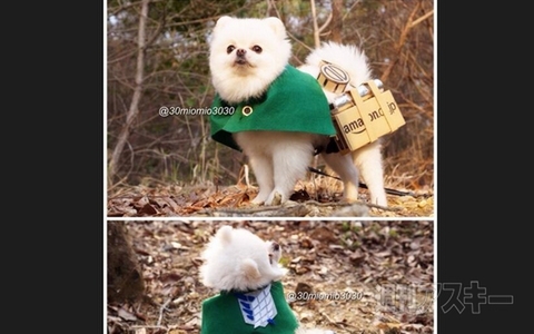 ムーミンカフェでの“おひとり様”にはキャラが相席!? ほか。見出しで楽しむネタ6本