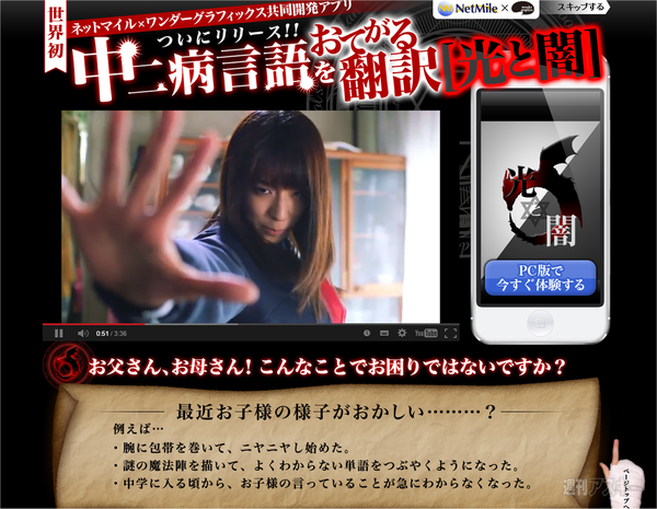 ワンダー・グラフィックス×ネットマイ