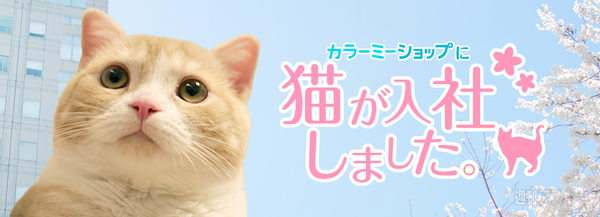 エイプリル カラーミーショップ